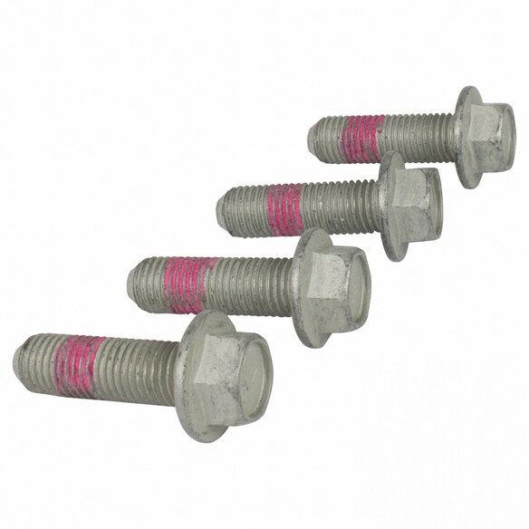 Disc Brake Caliper Anchor Plate Bolt Bracket Mounting - M16, Rear Main Image