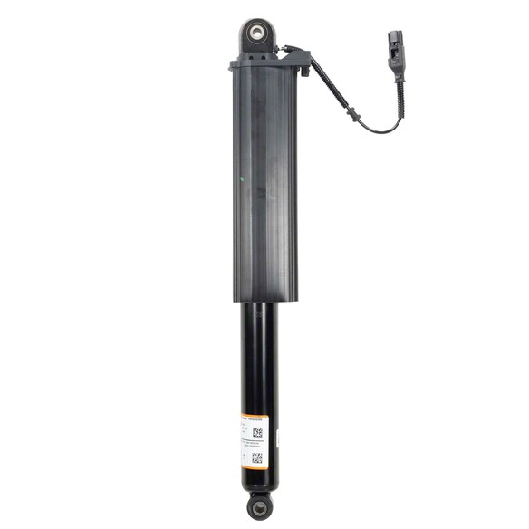 Suspension Shock Absorber - Rear Main Image