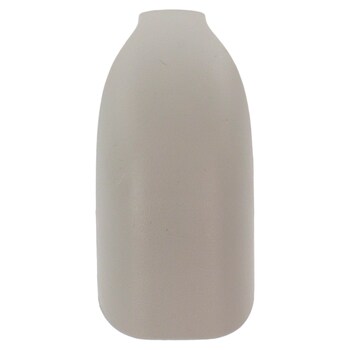 Interior Grab Bar Cap Screw - Bus (M2), Right