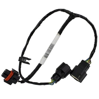 Socket and Wire Lamp