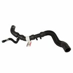 Radiator Coolant Hose - Lower Main Image