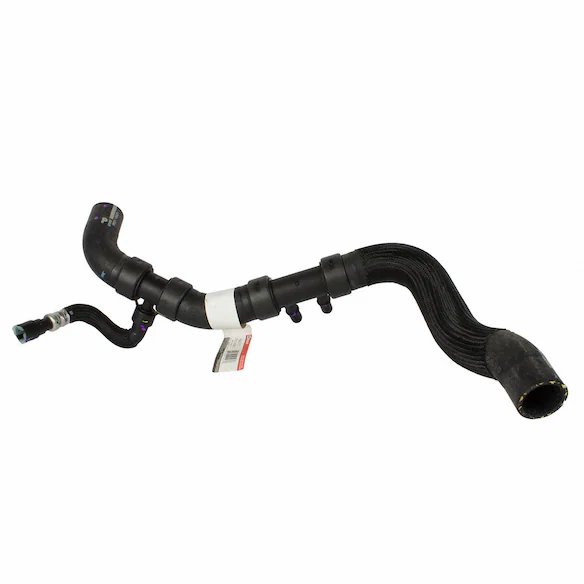 Radiator Coolant Hose - Lower Main Image