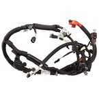 Starter Cable Battery - 5.0L (AT) Main Image