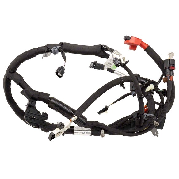 Starter Cable Battery - 5.0L (AT) Main Image