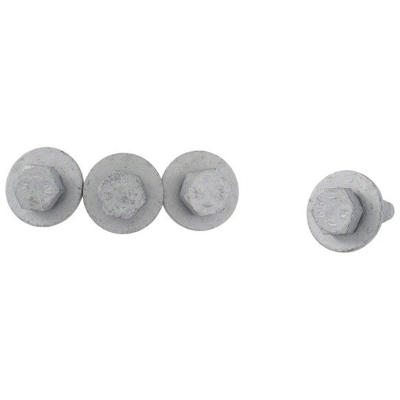 Screw Main Image
