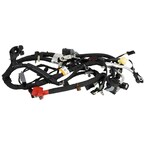 Starter Cable Battery - 5.0L (6-MT) Main Image