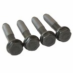 Engine Crankshaft Pulley Bolt - M12 Main Image