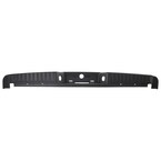 Bumper Step Pad Cover - Rear Main Image