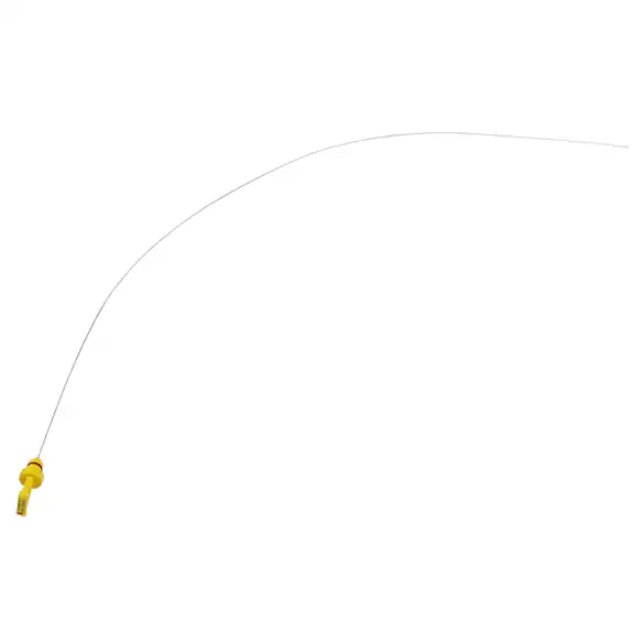 573134.jpg