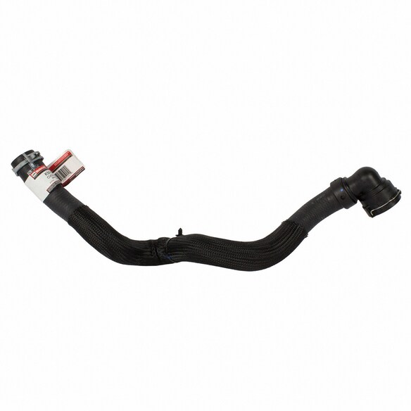 Radiator Coolant Hose - Lower 2.5L Main Image