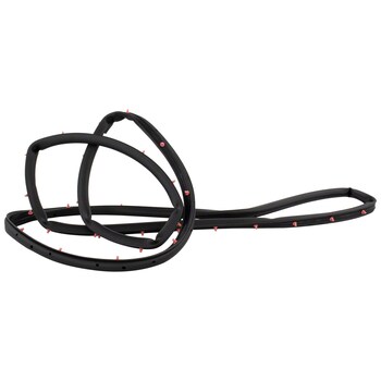 Door Seal Weatherstrip - Right, Rear