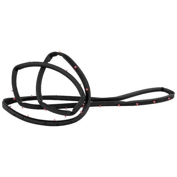 Door Seal Weatherstrip - Right, Rear Main Image