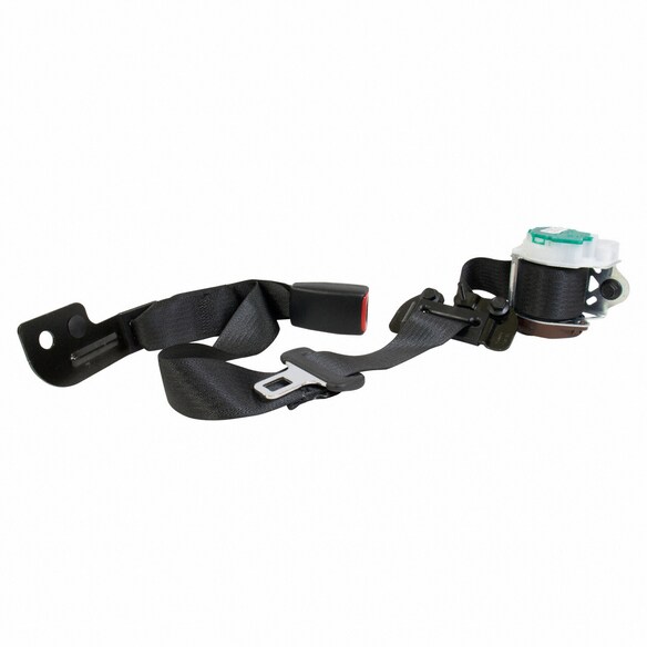 Seat Belt Lap and Shoulder - Rear, Center Main Image