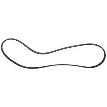 Serpentine Belt
