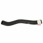 Radiator Coolant Hose - 3.7L Main Image