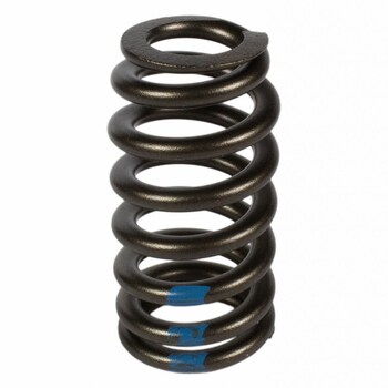Engine Valve Spring - 5.0L