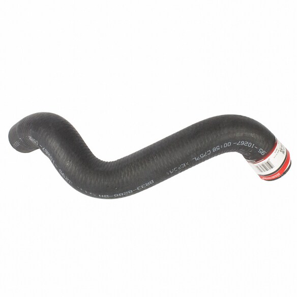 Radiator Coolant Hose - 5.0L Main Image