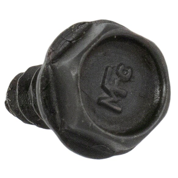 440144.jpg
