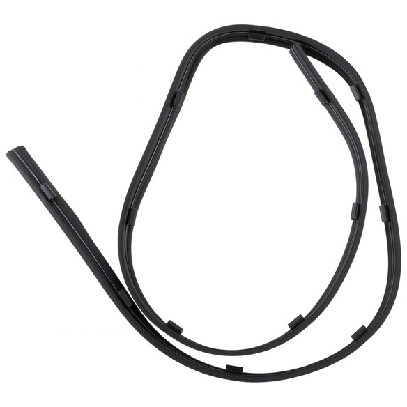 Rocker Panel Molding Seal Body Side - Left, Right Main Image