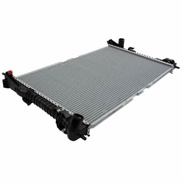 390146.jpg