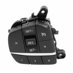 Cruise Control Switch - Left Main Image