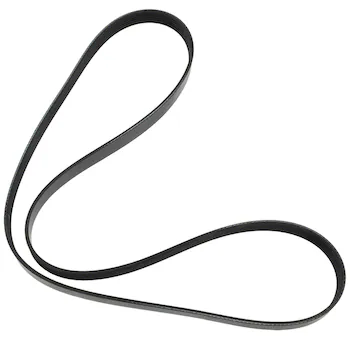 Serpentine Belt