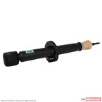 Suspension Shock Absorber - Front Main Image