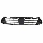 Bumper Grille - Front Main Image