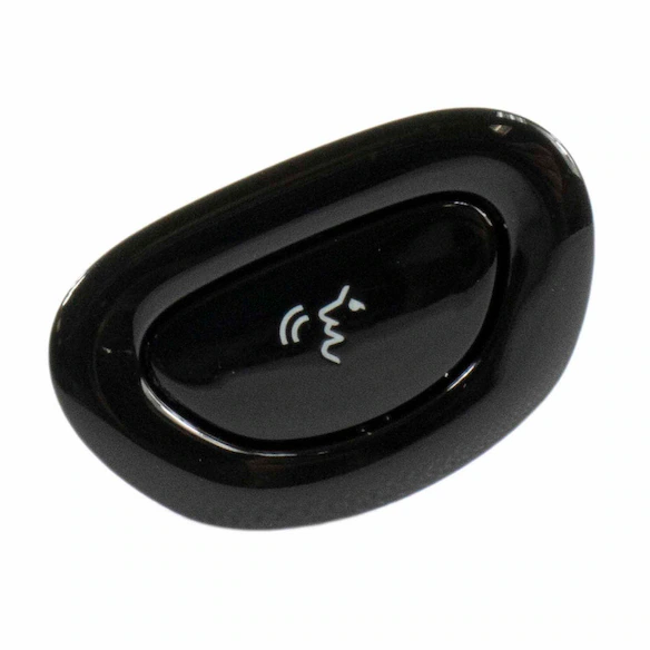 Cruise Control Switch Main Image