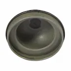 337158.jpg