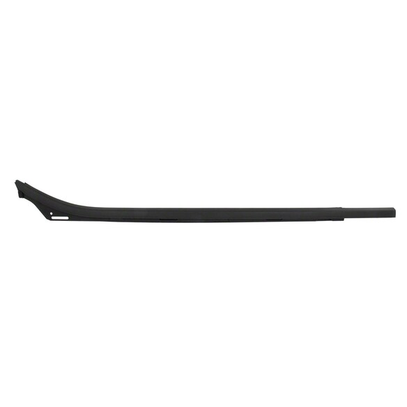 Door Belt Molding Window Weatherstrip - Right, Rear Main Image
