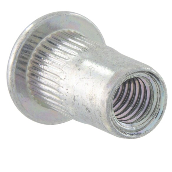499159.jpg