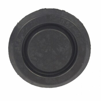 Miscellaneous Hardware Convertible - Plug Button 38MM D1A 4.6L