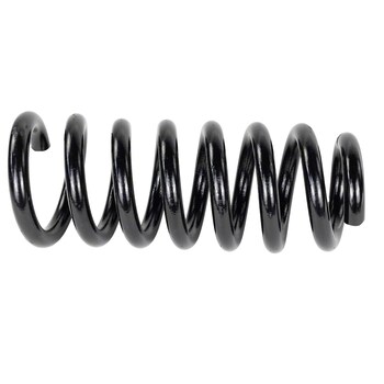Coil Spring - Rear