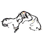 Instrument Panel Wiring Harness Main Steering Wheel Main Image