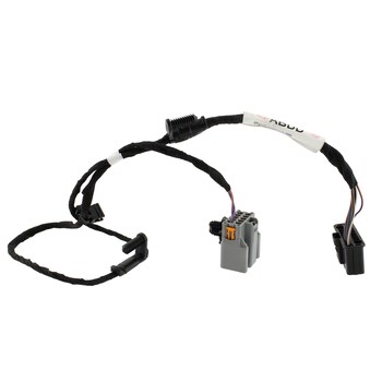 Wiring - Right, Rear