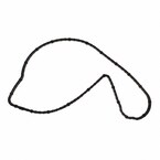 Engine Timing Cover Gasket Water Pump Housing Main Image