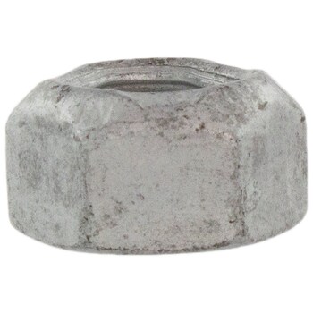Hex Head Nut
