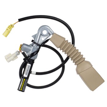 Buckle Seat Belt - Right, Front