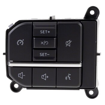 Cruise Control Switch - Left