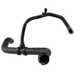 Radiator Coolant Hose - 5.0L Main Image