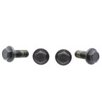 Automatic Transmission Differential Ring Gear Bolt - M10 X 25MM (AT) Main Image