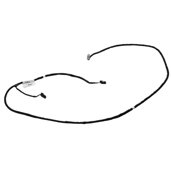591169.jpg