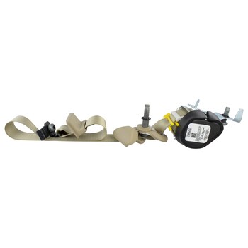 Seat Belt Lap and Shoulder