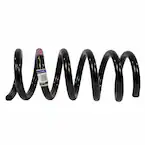 Coil Spring - Left, Right, Rear Main Image