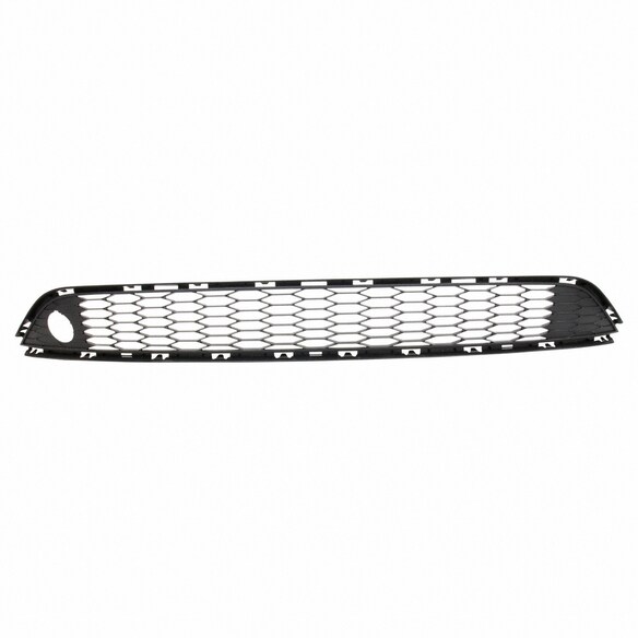 Bumper Grille - Front, Lower, Center Main Image