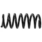 Coil Spring - Rear Main Image
