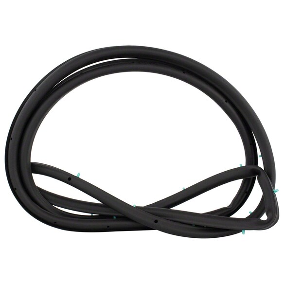 Door Seal Weatherstrip - Left, Rear Main Image