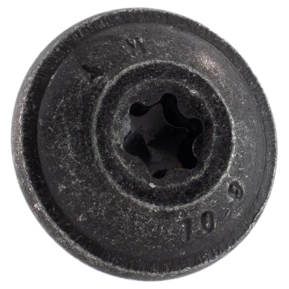 504178.jpg