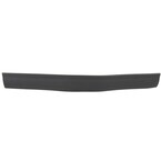 Side cover seal Weatherstrip - Center Main Image